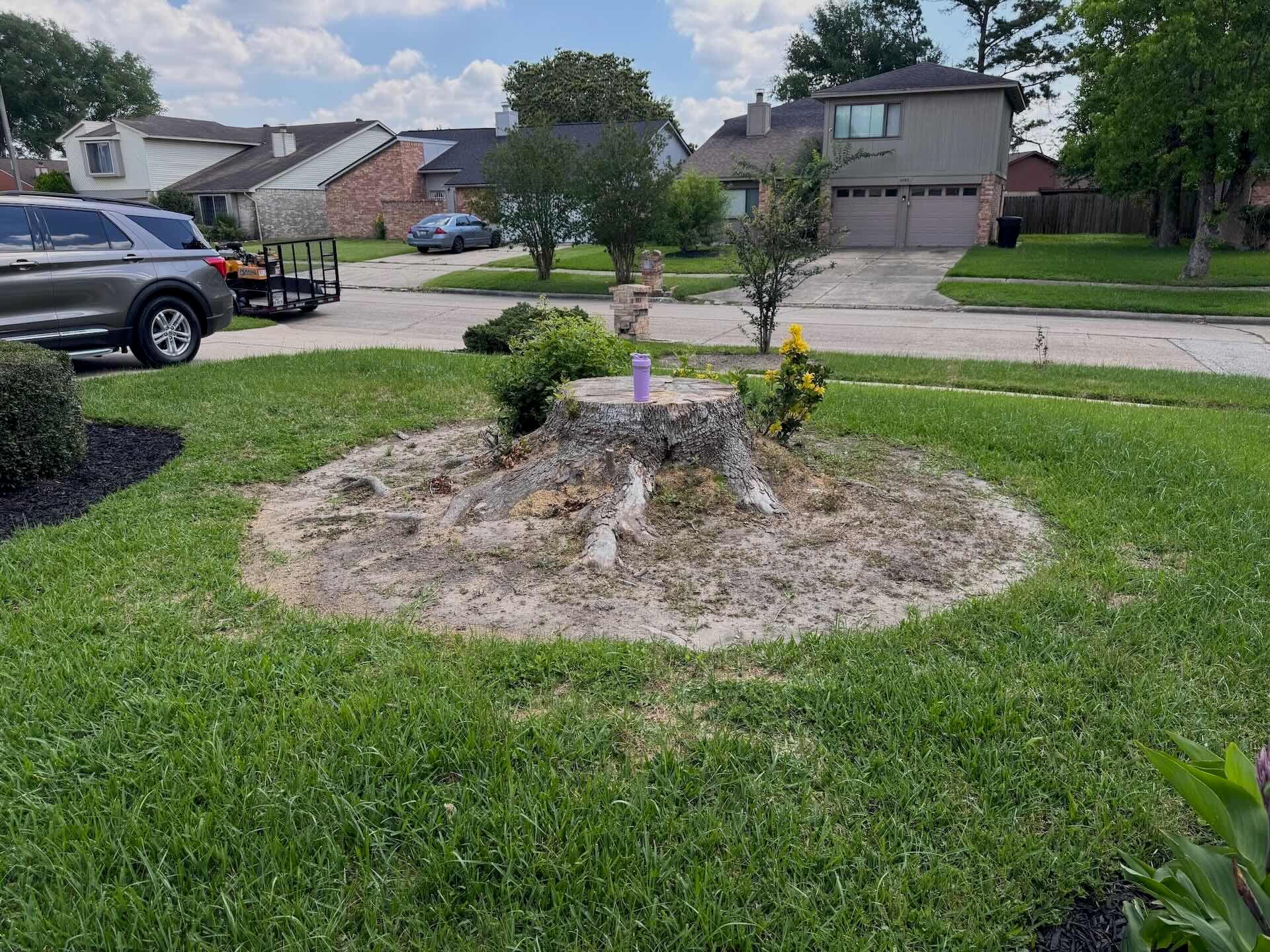 Large tree stump in a Houston front yard before professional stump grinding by Stump Daddy