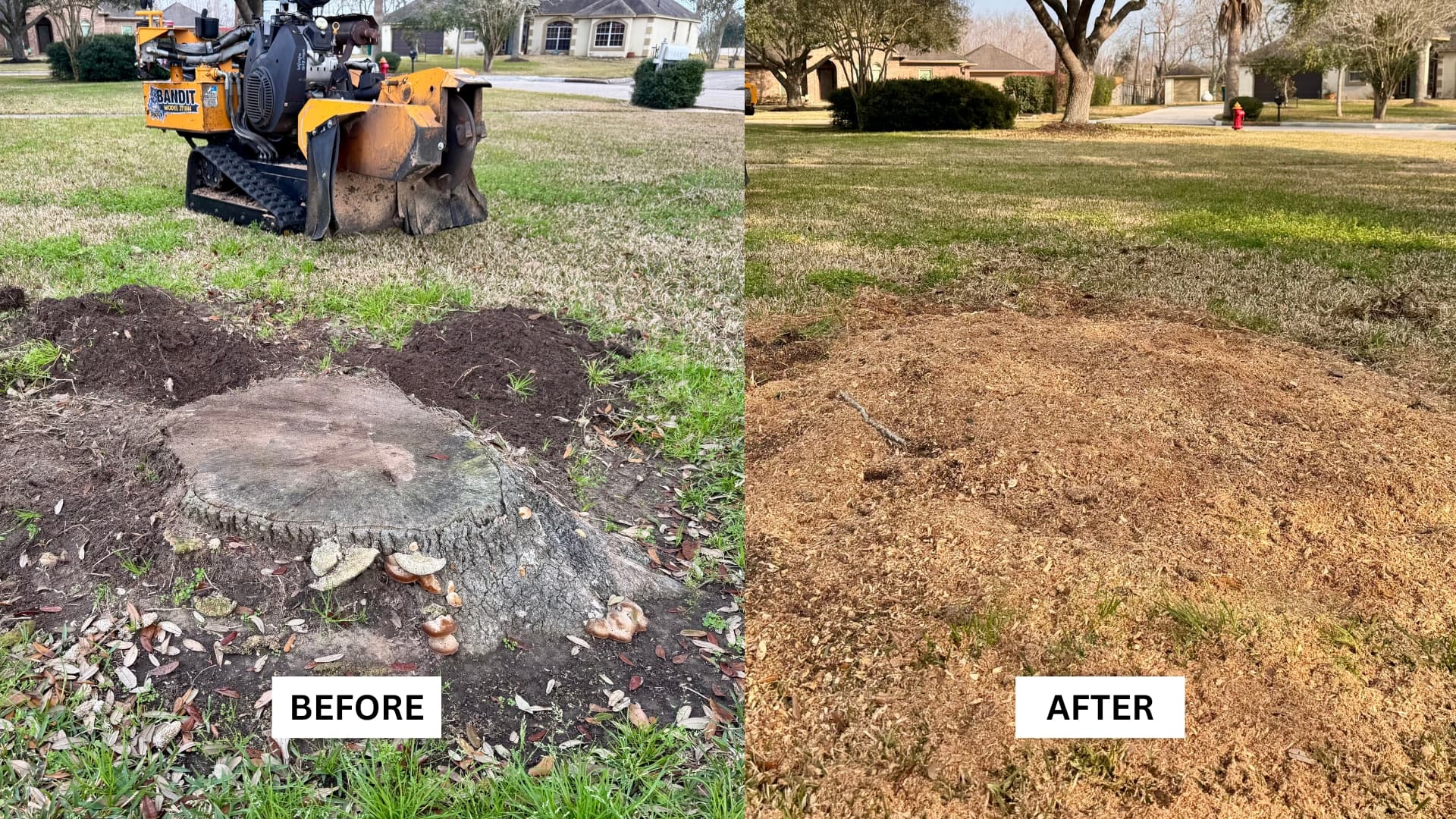 Stump Daddy services — before and after job site