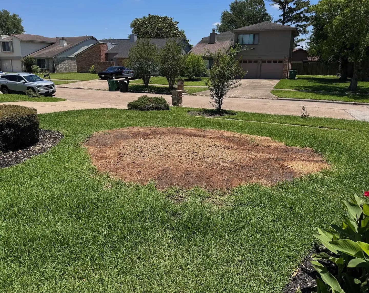 Same Houston front yard after Stump Daddy stump grinding, ground level and ready for new sod
